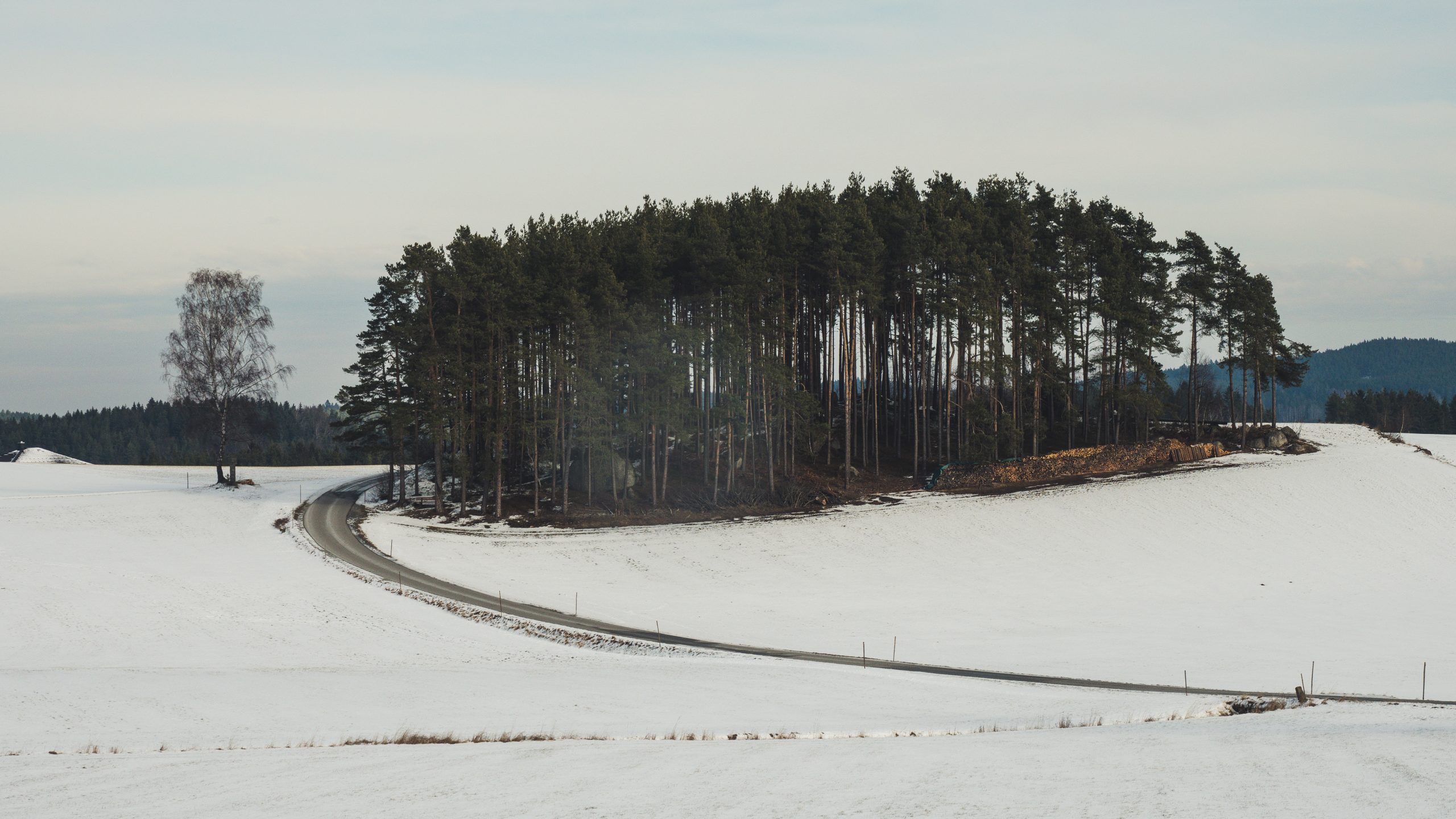 Waldviertel 2019 OLYMPUS DIGITAL CAMERA