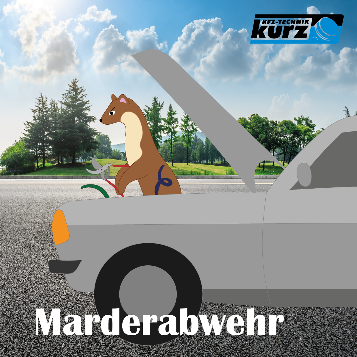 Marderabwehr Marderabwehr