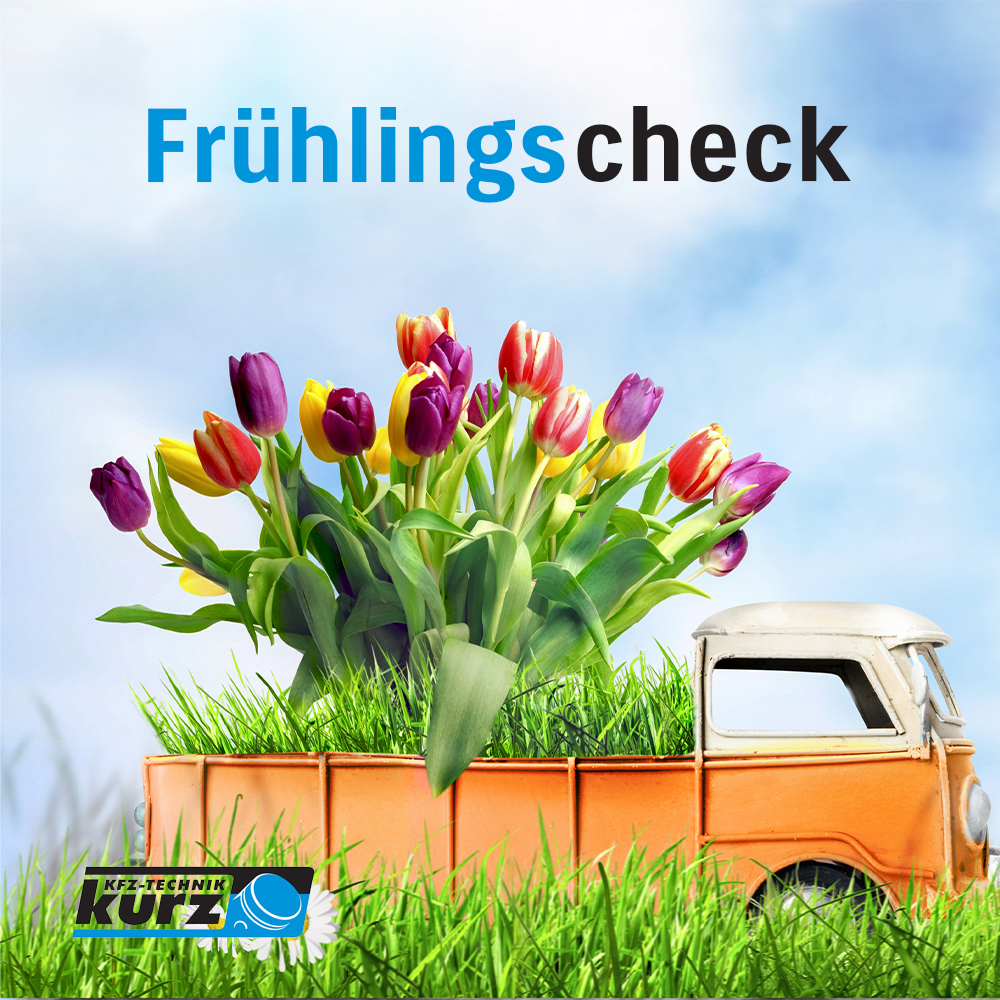 KFZK-Frühling-SQ